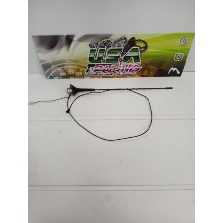 ANTENNE TWINGO II RS