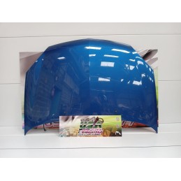 CAPOT BLEU CLIO II RS 172 PHASE 2