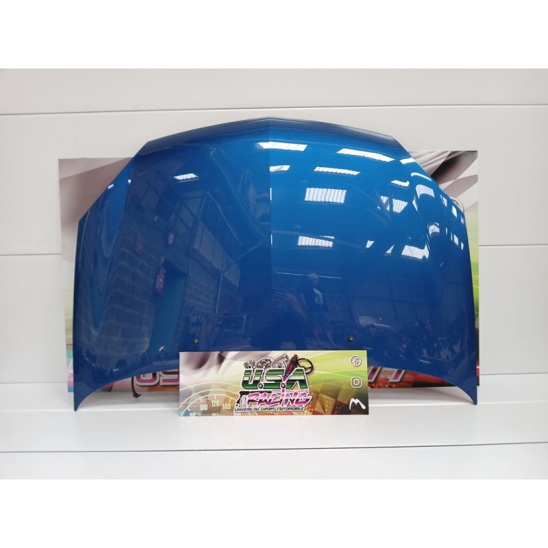 CAPOT BLEU CLIO II RS 172 PHASE 2