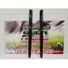 BAGUETTE DE PORTE CLIO II RS