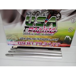 BAGUETTE DE PORTE CLIO II RS