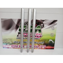 BAGUETTE DE PORTE CLIO II RS