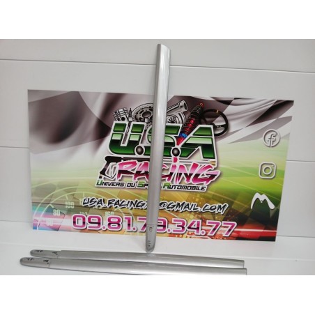 BAGUETTE DE PORTE CLIO II RS