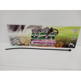 GIGLEUR LAVE GLACE CLIO II RS PHASE 2