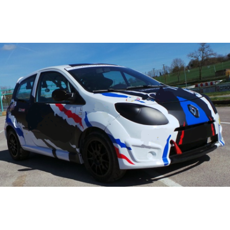 Caisse arceauté Matter Twingo II RS