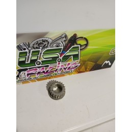 PIGNON DE VILLEBREQUIN