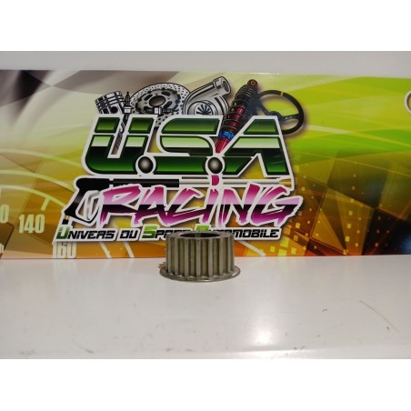 PIGNON DE VILLEBREQUIN