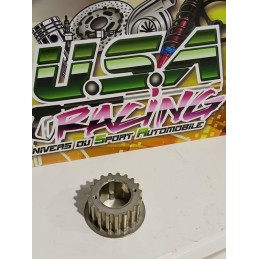 PIGNON DE VILLEBREQUIN