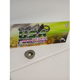 PIGNON DE VILLEBREQUIN