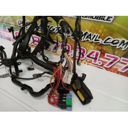 FAISCEAU MOTEUR CLIO II RS 182 PHASE 3