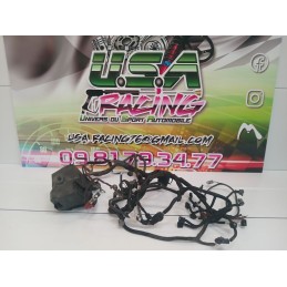 Faisceau moteur Twingo II RS