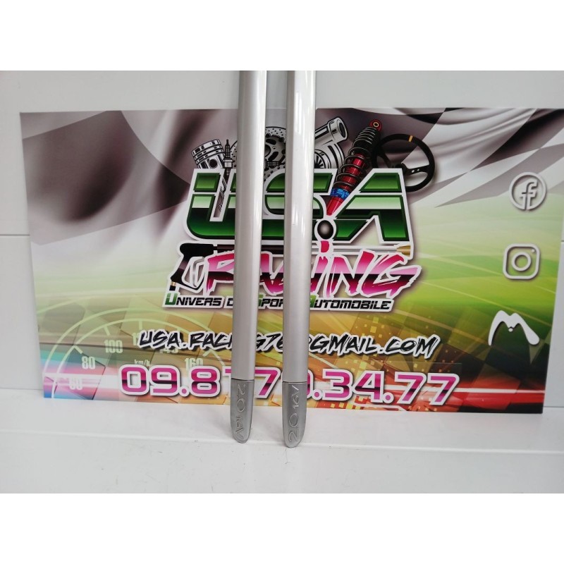 BAGUETTE DE PORTE CLIO II RS 182 PHASE 3