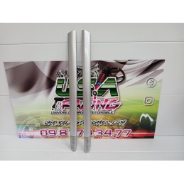 BAGUETTE DE PORTE CLIO II RS 182 PHASE 3