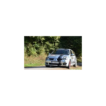 Caisse arceauté Matter clio II RS