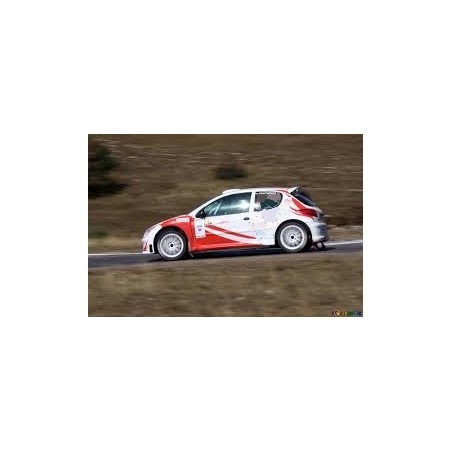 CAISSE /ARCEAU MATTER PEUGEOT 206
