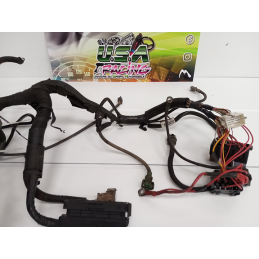 Faisceau moteur CLIO II RAGNOTTI