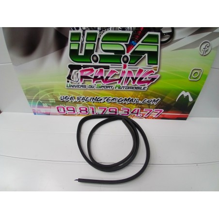 JOINT DE PORTIERE TWINGO II RS