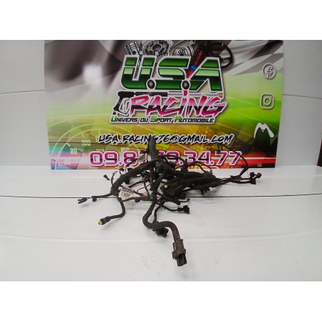 FAISCEAU MOTEUR CLIO III RS 197 PH1