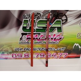 BAGUETTES DE TOIT CLIO III RS 197 PH1