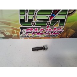 AXE DE PIVOT SAXO/106 D16/D16