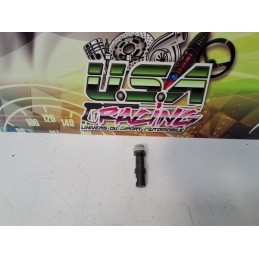 AXE DE PIVOT SAXO/106 D16/D16