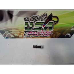 AXE DE PIVOT SAXO/106 D16/D16